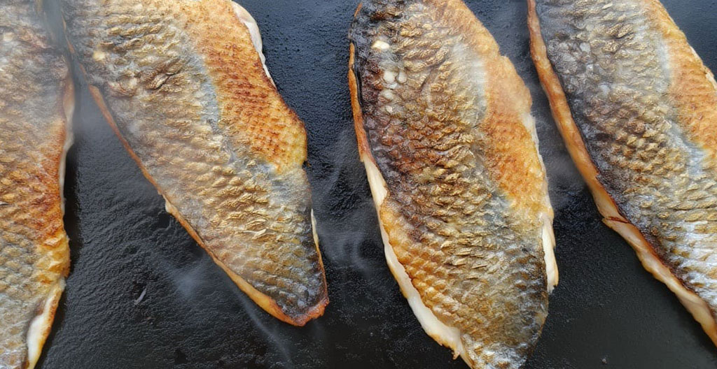 Filets de poissons de différentes épaisseurs disposés sur plan de travail professionnel avec règle de mesure pour comparaison des calibres
